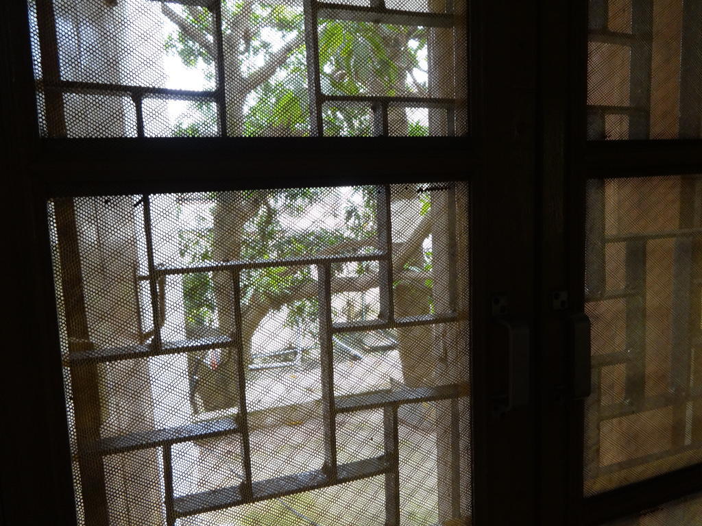 Hotel Upasana Bhubaneswar Quarto foto
